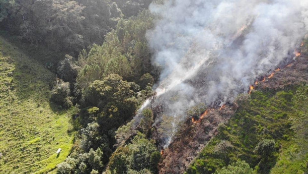 Atentos a los incendios forestales