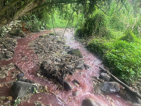 Las denuncias hechas por vecinos de la Zona Industrial en Manizales, vía a Maltería, sobre el vertimiento de sustancias que están contaminando afluentes como la quebrada Cristales, debe ser motivo suficiente para que la Secretaría de Medio Ambiente y Corpocaldas, como autoridades, investiguen, establezcan responsables y eviten más afectación.