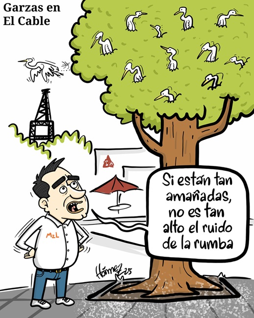 Caricatura 22 de enero del 2025: Garzas en sector de El Cable en Manizales 