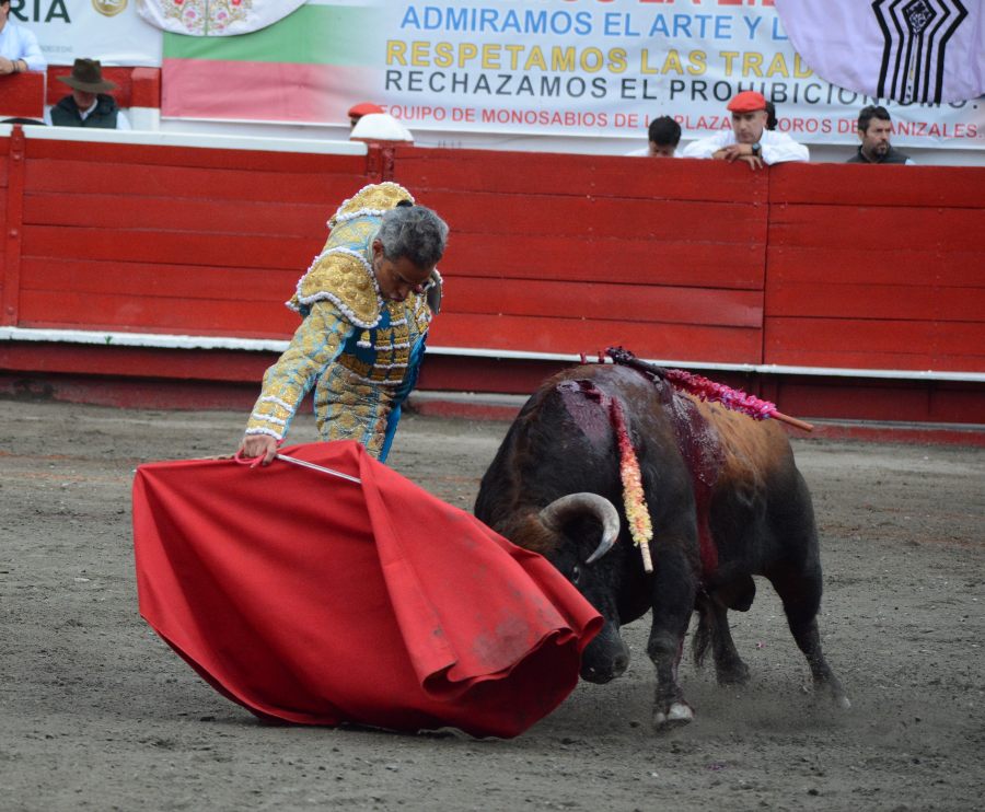 Derechazo de Luis Bolívar al toro Camarero al que le cortó una oreja.