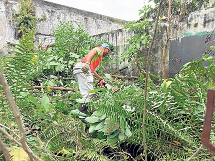 Limpiaron la Estación del tren Foto | LA PATRIA