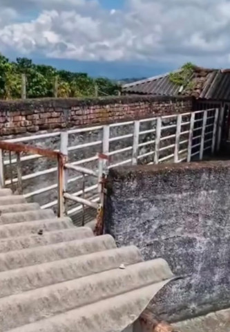 Matadero de Palestina
