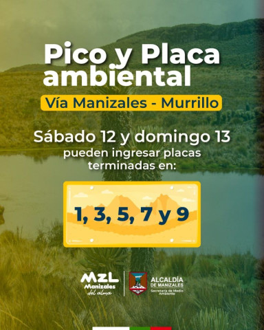 PP1