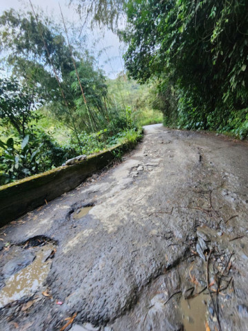Petaqueros