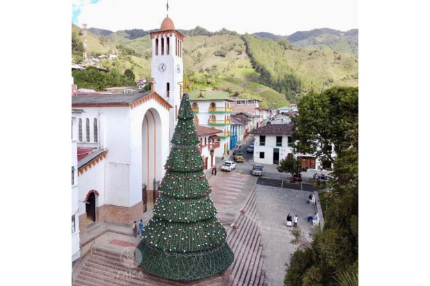 Árbol de Navidad, de altura en Pensilvania (Caldas)