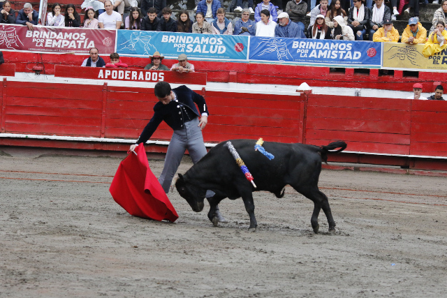 Derechazo de Esteban Castro al novillo Dejado de 230 kilogramos de la ganadería Las Ventas del Espíritu Santo. 