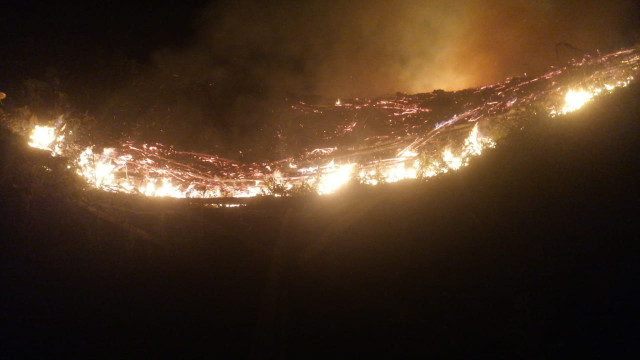 incendio forestal en Neira