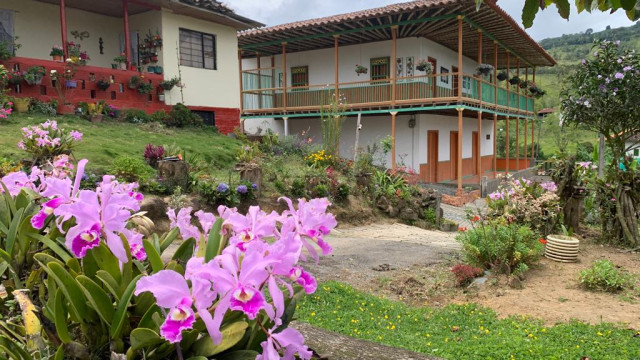 Las orquídeas contrastan con la arquitectura rural.