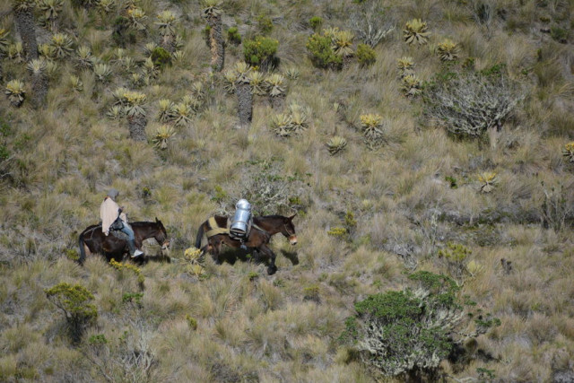 Aguas calientes, Casabianca (Tolima)