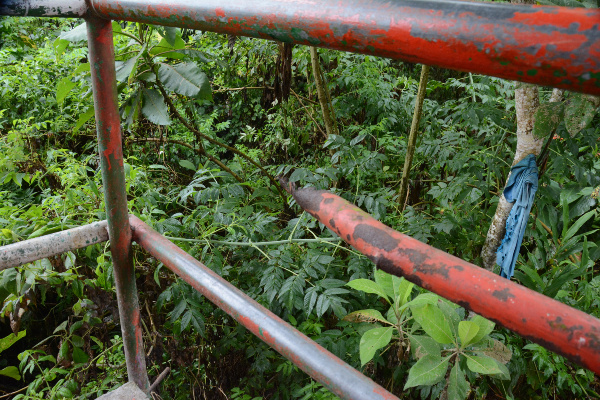 Las barandas de las escaleras que rodean el escenario presentan desgaste en la pintura; también, rupturas en cuatro partes del cercado.