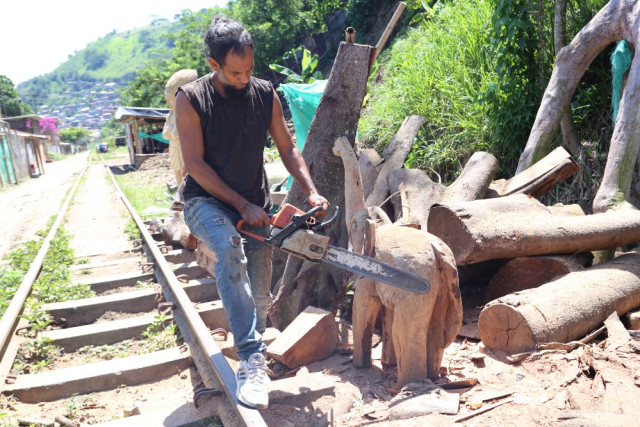 Mario Enrique Petro convierte los troncos de madera en esculturas