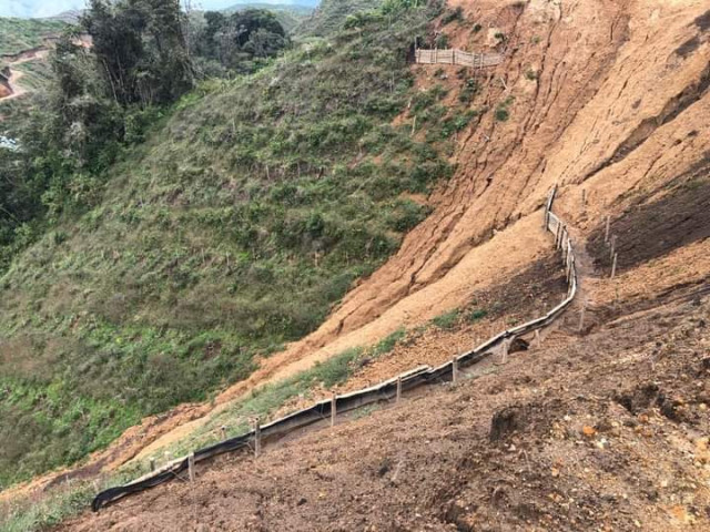 Así se ve la tierra utilizada para cultivos de aguacate en entre Neira y Aranzazu, en el sector Termópilas.