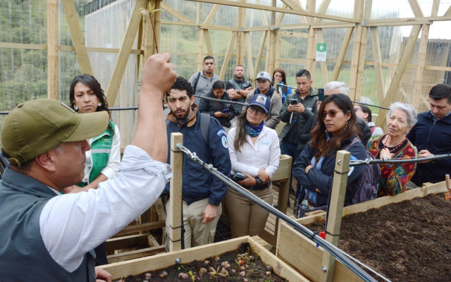 Ingeniero agrónomo explica las plantas del vivero de alta montaña a visitantes