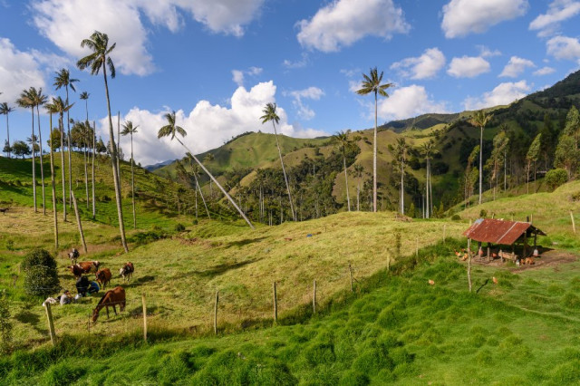 Ganador Mejor foto de Salamina. Refugio de la montaña, por Gustavo Garcés Villa, de Medellín. 