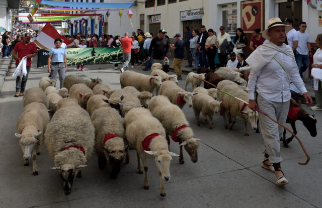 Salamina desfile