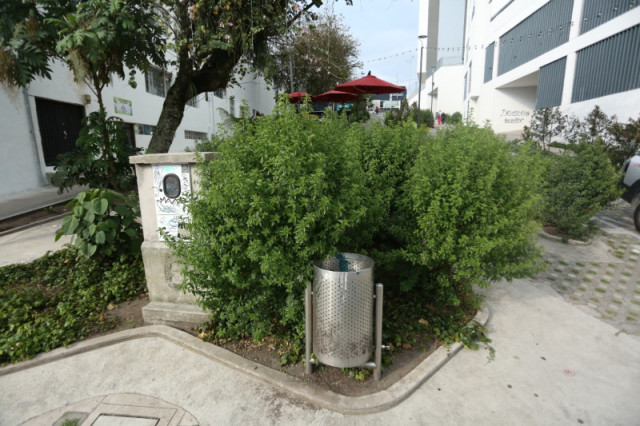 Video: la demolición de un parque en Manizales, punto de partida de la construcción de un bulevar comercial