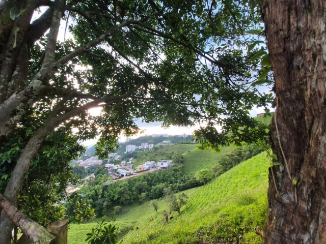 La Montañita Manizales