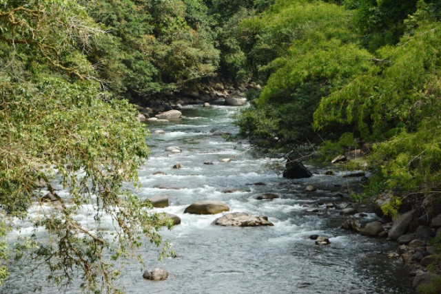 Raíces retorcidas y piedras gigantes forman un paisaje que parece sacado de un cuadro natural.