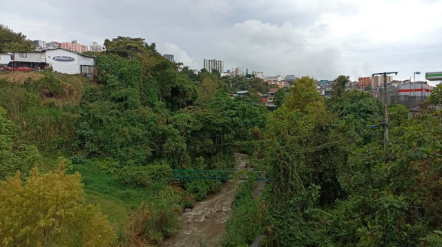 Menos brillo solar en Caldas: riesgo latente para el café, el agua y la energía