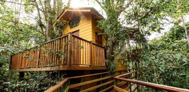 Tominejo Ecolodge. Tominejo Ecolodge.