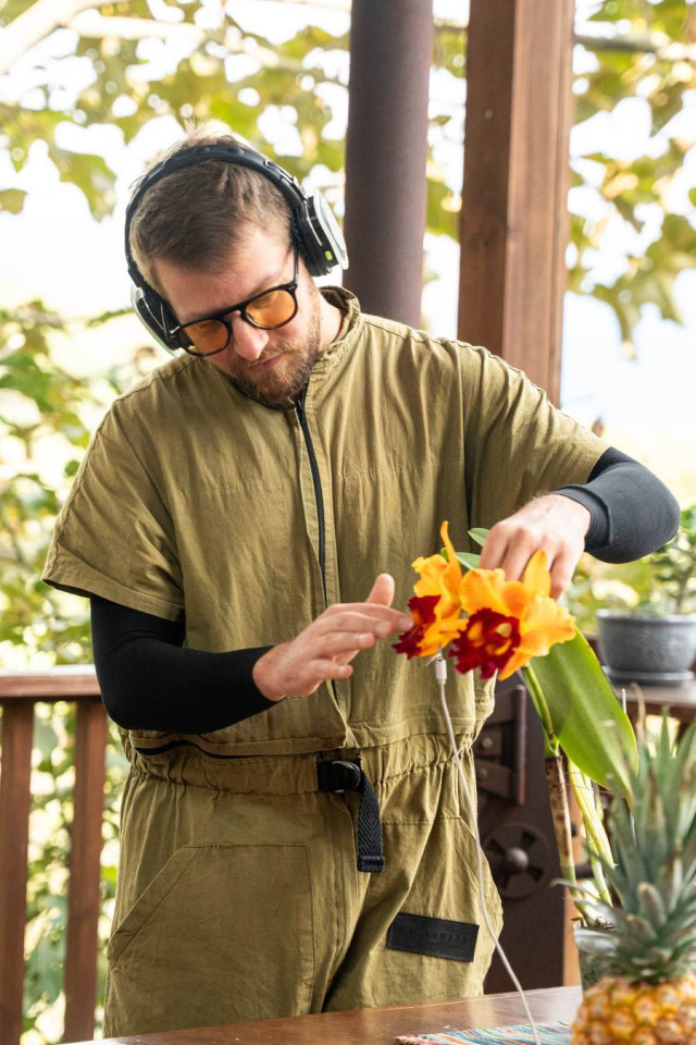 Tominejo Ecologde, a 20 minutos de Manizales, vivirán una experiencia única: escuchar la música de las plantas. Tominejo Ecologde, a 20 minutos de Manizales, vivirán una experiencia única: escuchar la música de las plantas.