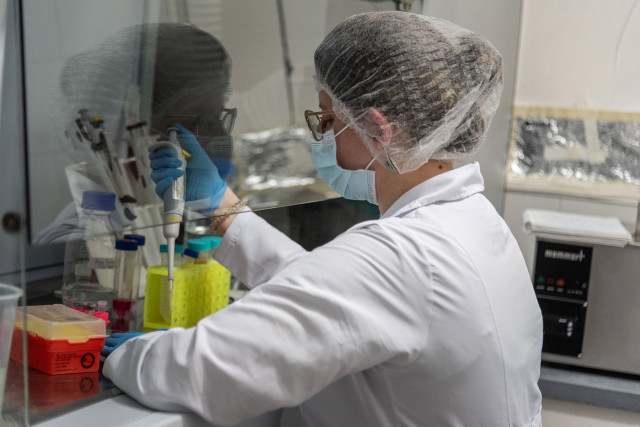 Cuando la cúrcuma se transforma en tratamiento: avances en cáncer desde la UNAL