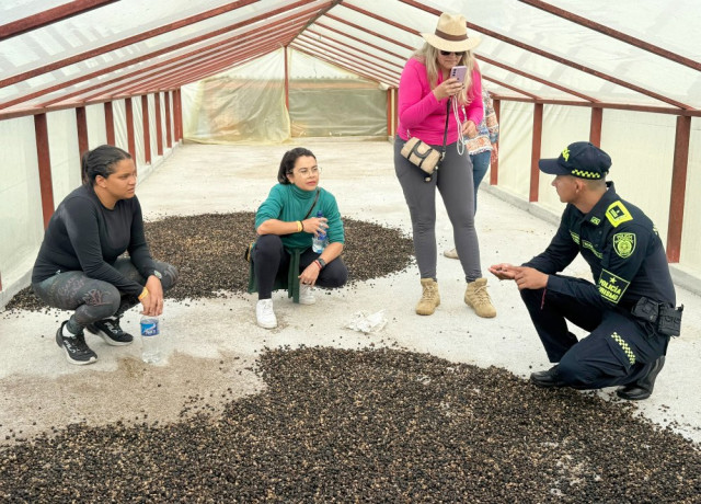 “Ofrecemos la ruta del café, donde los turistas disfrutan de una experiencia del proceso del grano: desde la recolección manual hasta la degustación final. Esta actividad fortalece la economía local y la paz en nuestras comunidades cafeteras”, resalta Rueda.
