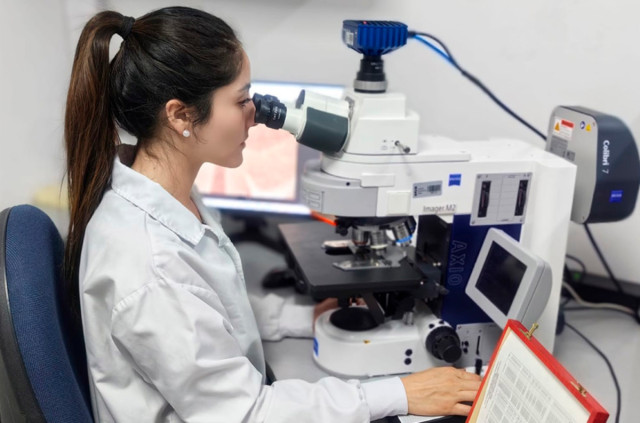 “Neurona, cerebelo y Alzheimer: el hallazgo que cambia el mapa de las enfermedades neurodegenerativas en Colombia”