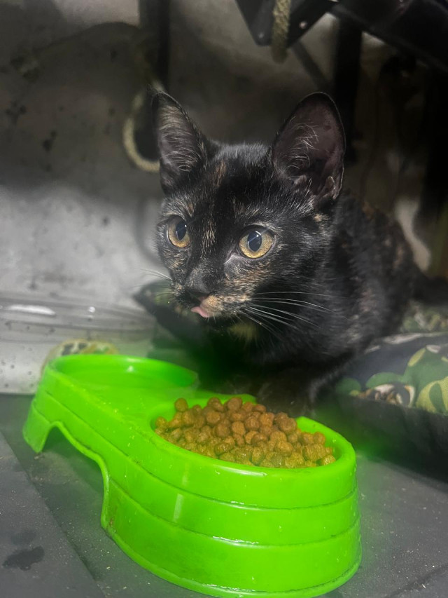 Paquita murió asfixiada por el humo.