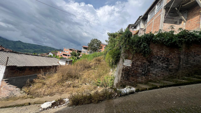Los habitantes aseguran que hay roedores en las zonas debido al depósito indebido de basuras