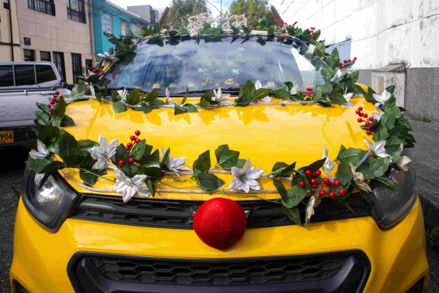 Este año también le agrego a su decoración cuernos cafés y nariz roja cómo los renos de Papá Noel