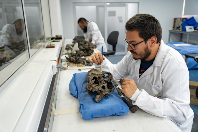 Estos hallazgos no solo son importantes a nivel científico, sino también educativo, cultural y patrimonial.