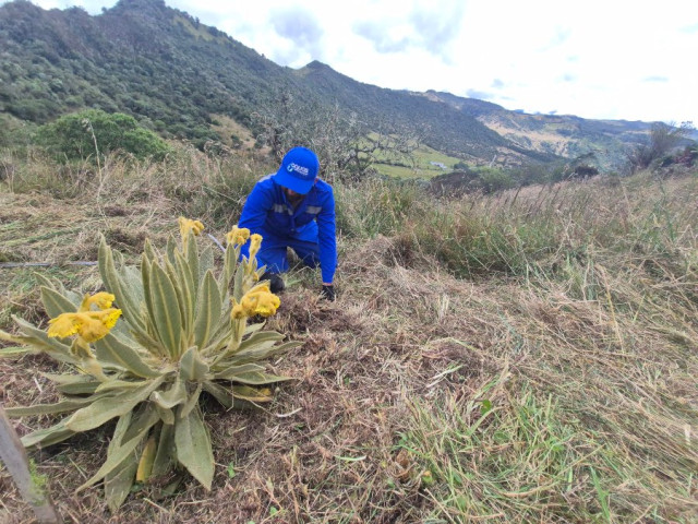 Cuenca alta de Río Blanco Cuenca alta de Río Blanco