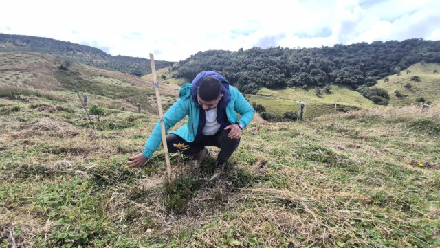 Cuenca alta de Río Blanco Cuenca alta de Río Blanco