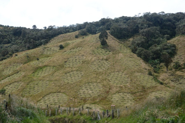 Cuenca alta de Río Blanco Cuenca alta de Río Blanco