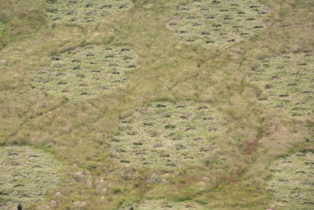 Cuenca alta de Río Blanco Cuenca alta de Río Blanco