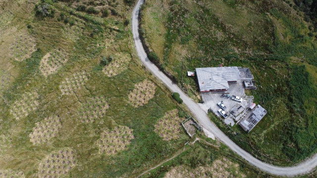 Cuenca alta de Río Blanco Cuenca alta de Río Blanco