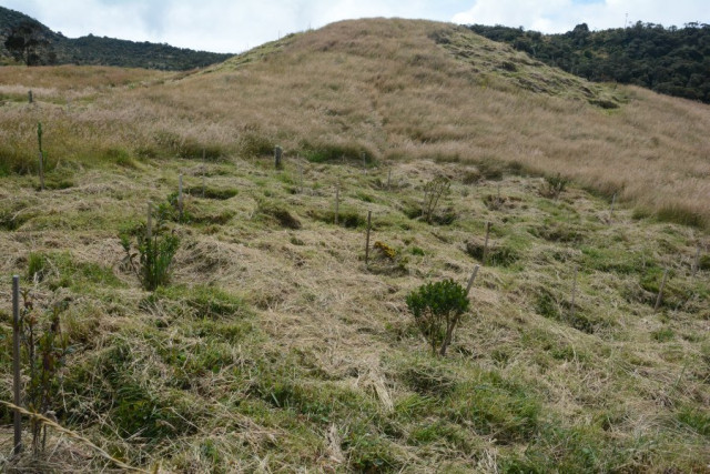Cuenca alta de Río Blanco Cuenca alta de Río Blanco