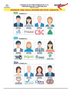 tarjeta consulta presidencial