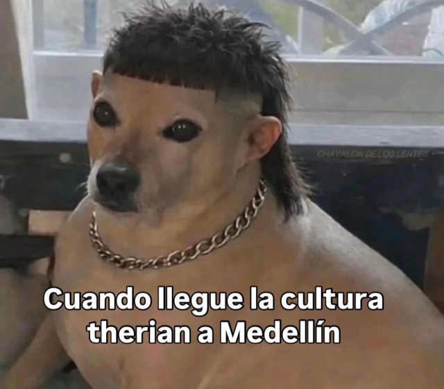 Therian: la tendencia viral que viraliza memes en redes