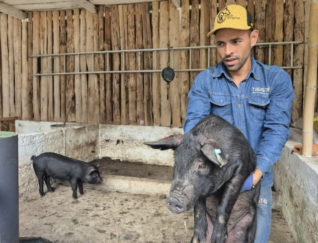 “Estamos desarrollando proyectos de recuperación de potreros con sistemas de pastoreo, buscando cerdos felices, sin confinamiento, y cruzamientos que mejoren la calidad de la carne”, señaló Franco.
