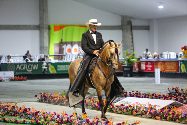 Así arrancó la Feria Equina en Manizales: competencias, remates y plan familiar todo el fin de semana