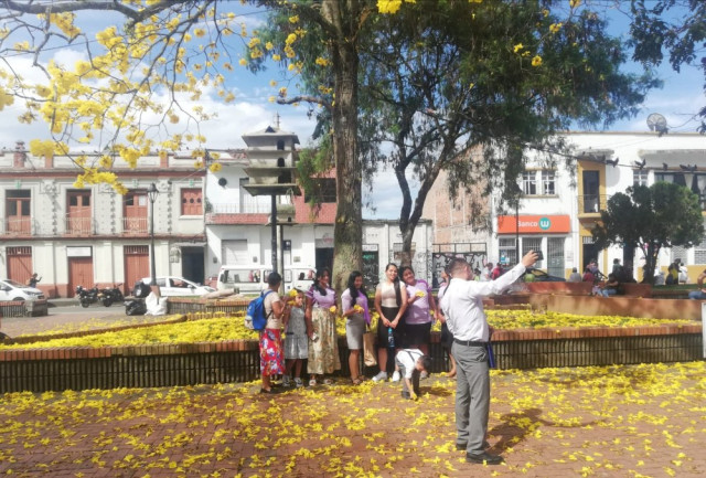 En el parque de La Candelaria, otro guayacán da la bienvenida a propios y visitantes. Sus hojas amarillas, se convierten en un llamativo tapete, que a la vez es escenario para alegría de los niños.