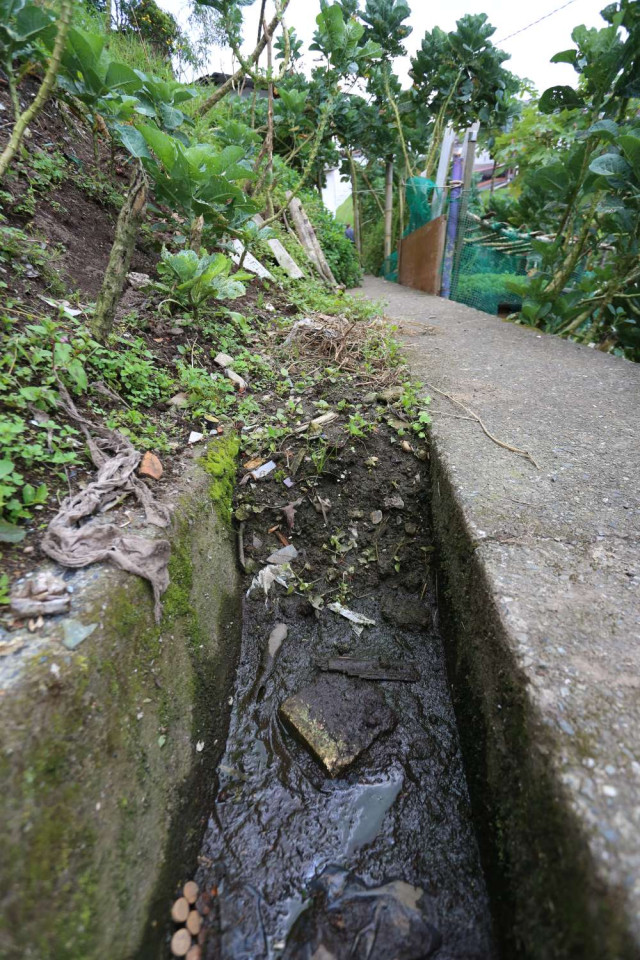 Piden limpieza de ladera en Comuneros 