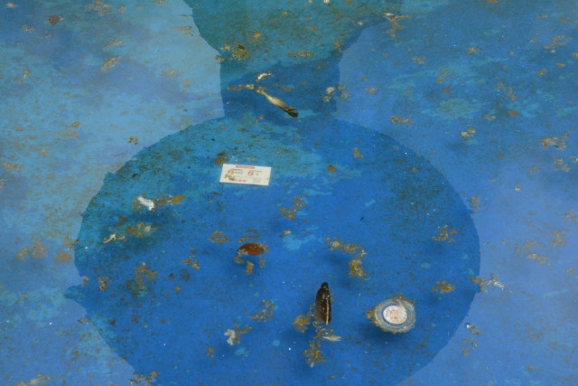 Fuente del parque de Neira, en mal estado. 