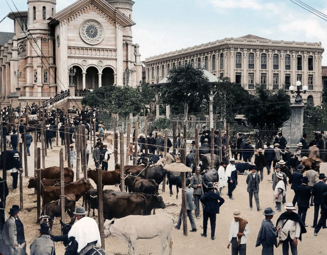 En 1920, la Catedral y la Plaza de Bolívar, que también funcionaba como feria ganadera.