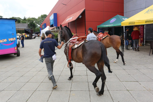 Feria Equina Manizales 