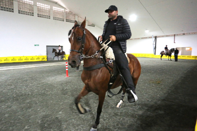 Feria Equina Manizales 