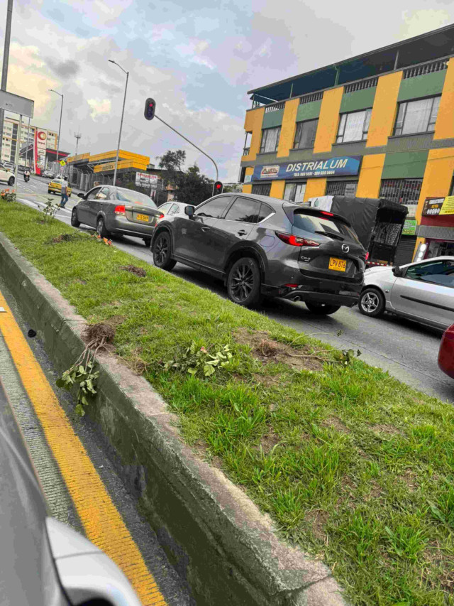 Están dañando las matas de los separadores de Manizales
