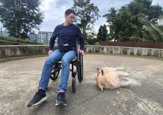 No todos los perros son aptos para este rol. La selección depende de la discapacidad del usuario y de pruebas de comportamiento. Razas como el golden retriever o el labrador suelen destacarse por su equilibrio y capacidad de adaptación.